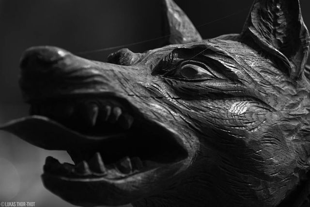 Capul de lup sculptat al stindardului, în alb-negru